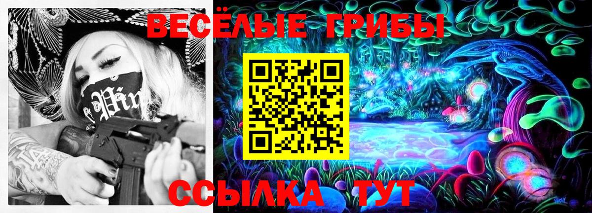 Галлюциногенные грибы GOLDEN TEACHER  Вход с VPN  Ставрополь 