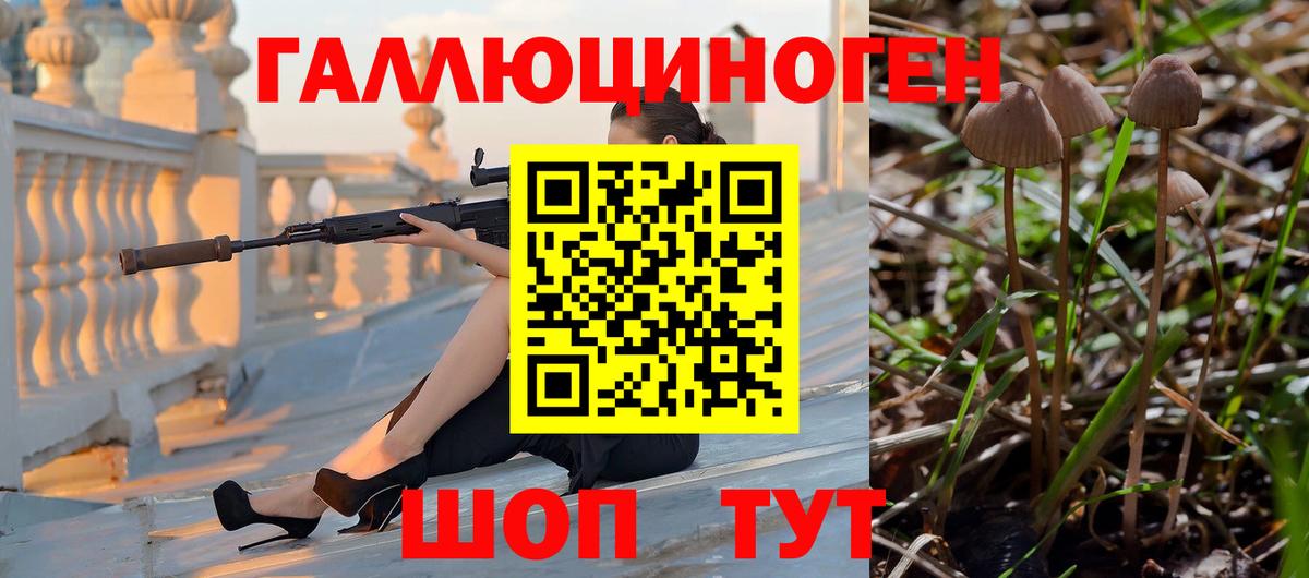 Галлюциногенные грибы GOLDEN TEACHER Ставрополь